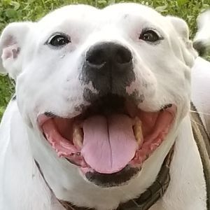 Meet your Posher, Veronica